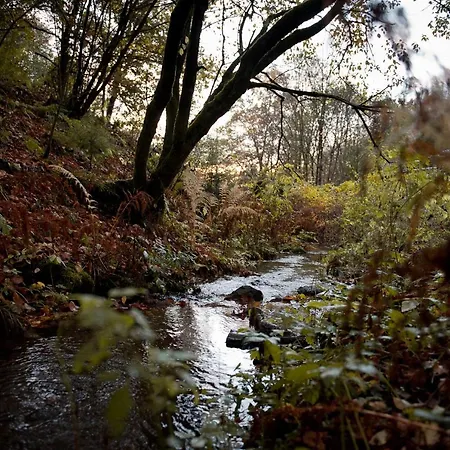 펜션 Sleep Space 25 - Tiny Village Harz *