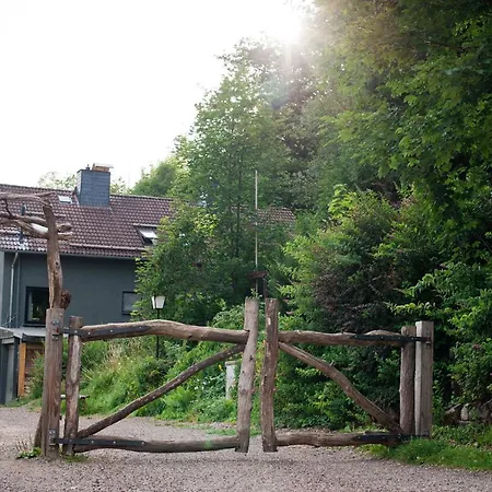 Ferienhaus Sleep Space 25 - Tiny Village Harz *