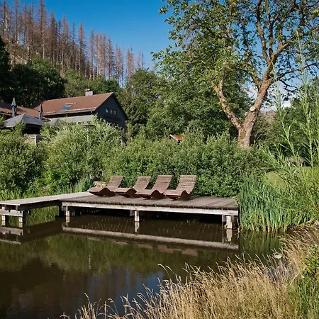 Ferienhaus Sleep Space 25 - Tiny Village Harz *